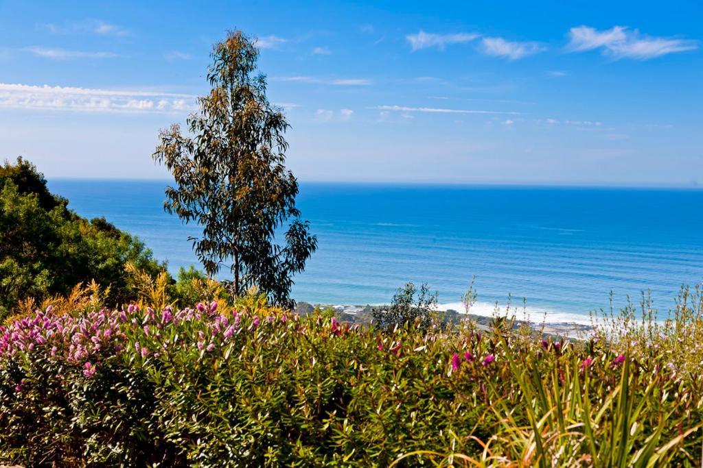 Beacon Point Ocean View Villas Skenes Creek Eksteriør billede