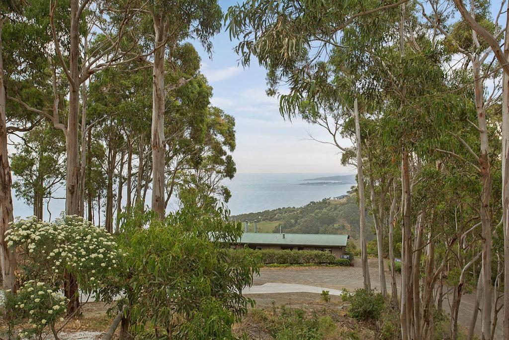 Beacon Point Ocean View Villas Skenes Creek Eksteriør billede